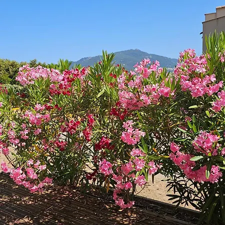 Affittacamere Giulia Propriano (Corsica)