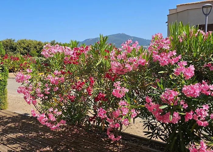 Affittacamere Giulia Propriano (Corsica)